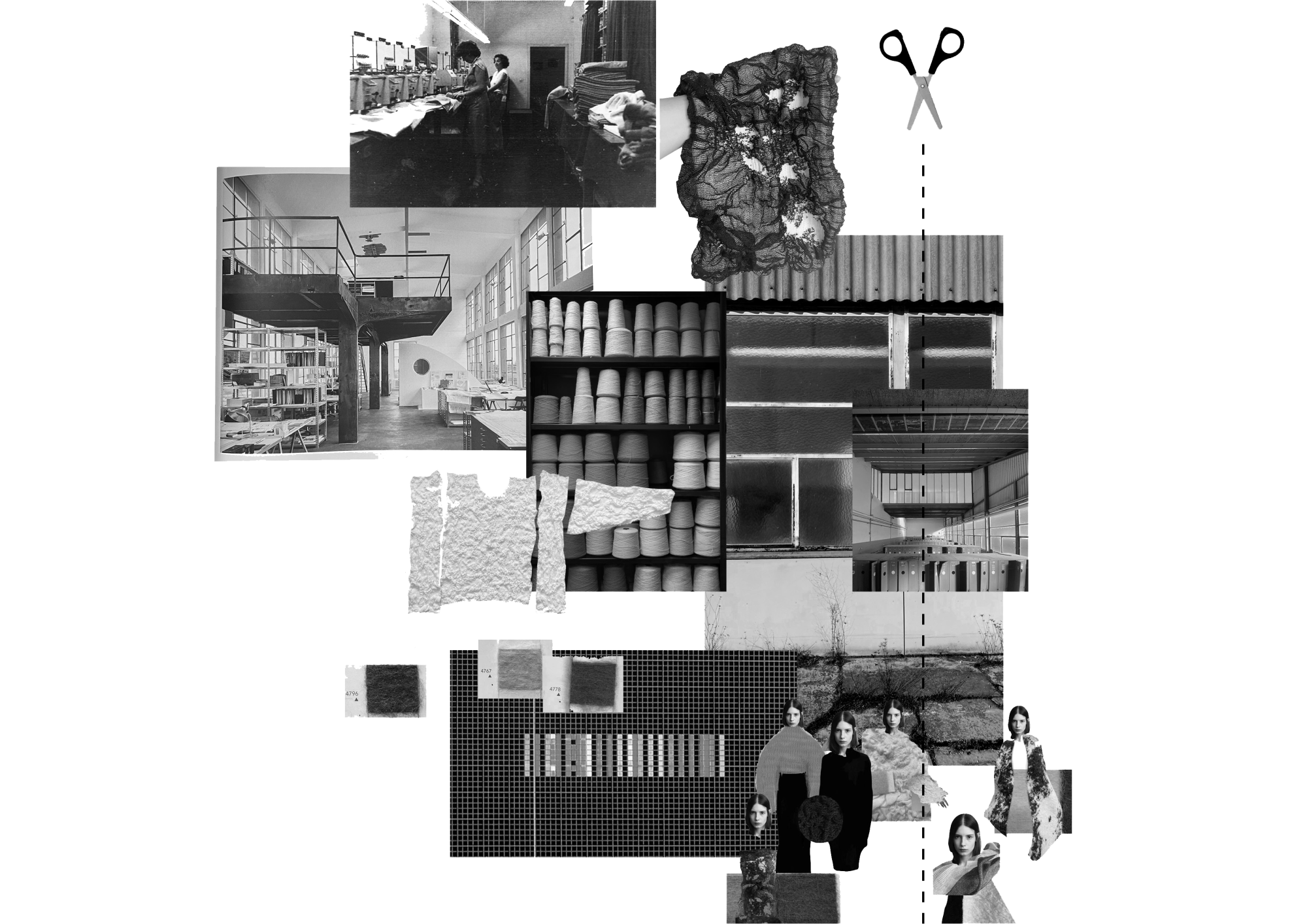 Collage schwarz und weiß_neu.png